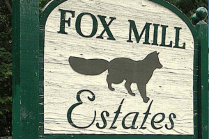 Deb Frank is a Top Area Expert in Fox Mill Estates - Oak Hill Virginia